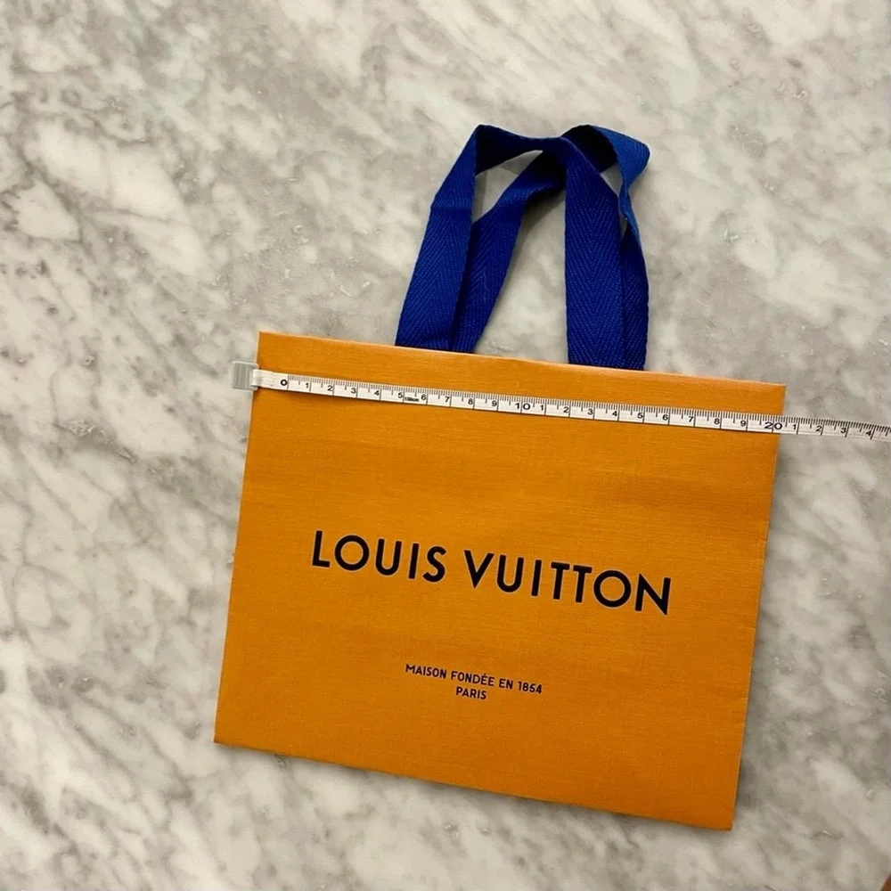 Louis Vuitton Small Gift Bag - Authentic